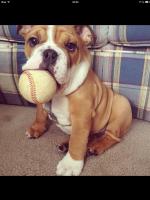 Avatar de l’utilisateur