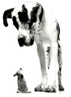 Avatar de l’utilisateur